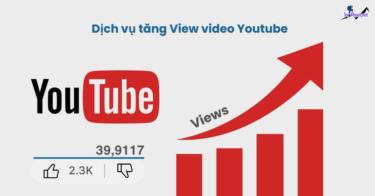 Top 6 dịch vụ tăng view giá rẻ chất Quảng Ngãi đáp ứng tốt nhất (3)
