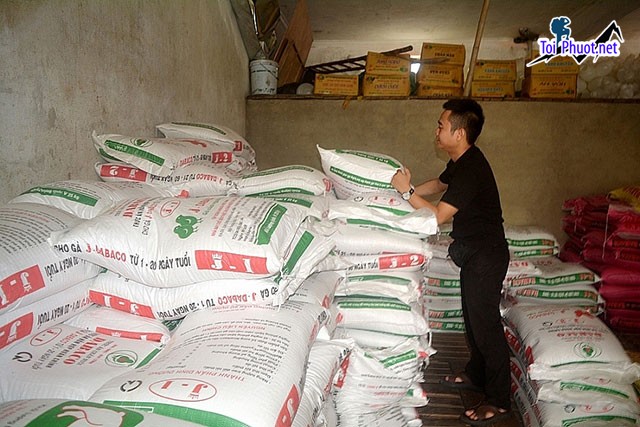 Top 8 bán thức ăn gia súc gia cầm Tân An Long An cam kết chất lượng nhất (2)
