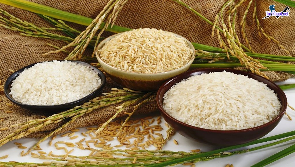 Top 8 cửa hàng gạo gần đây chất lượng Buôn Ma Thuột Đắk Lắk gạo sạch (2)