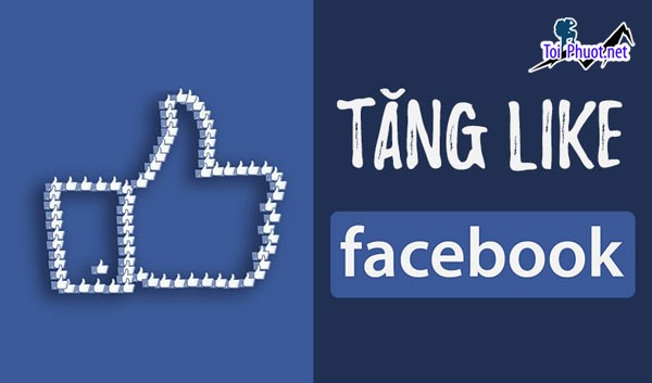 Top 8 dịch vụ tăng like giá rẻ chất Hà Giang đáng tin cậy  (1)
