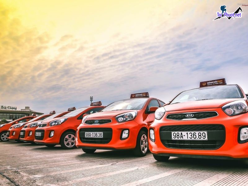 Top 8 Số điện thoại taxi giá rẻ xanh Bến Tre uy tín mà bạn cần biết (2)