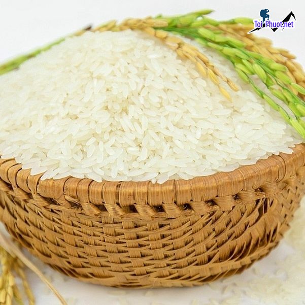 Top cửa hàng gạo gần đây chất lượng Phủ Lý Hà Nam món ăn không thể thiếu (1)
