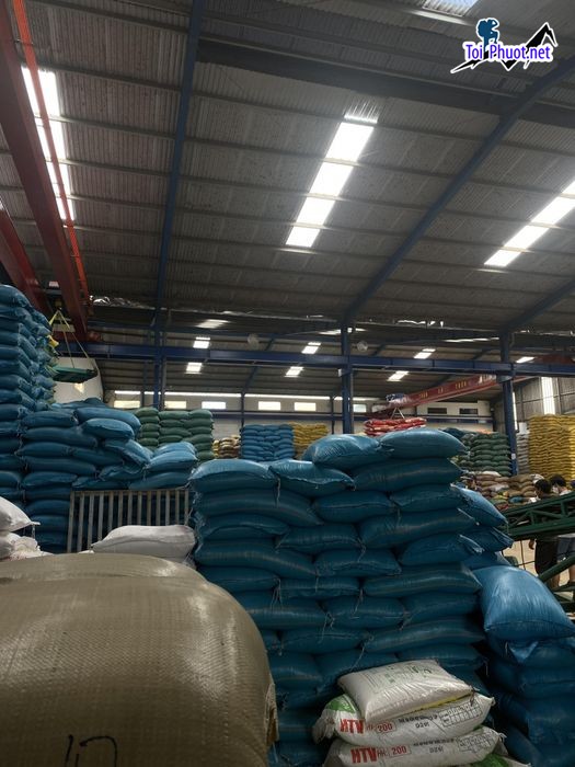 Top cửa hàng gạo gần đây chất lượng Phủ Lý Hà Nam món ăn không thể thiếu (2)
