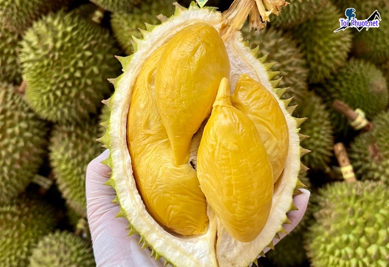 Top cung cấp bán sầu riêng giá rẻ tốt chất lượng Bà Rịa   Vũng Tàu ngon nhất mà chúng tôi có (2)