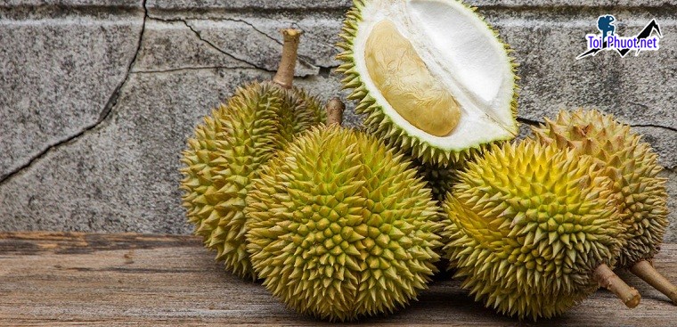 Top cung cấp bán sầu riêng giá rẻ tốt chất lượng Bà Rịa Vũng Tàu ngon nhất mà chúng tôi có